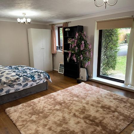 Stunning 2 Bedroom With Garden Sleep 6 London Exterior photo